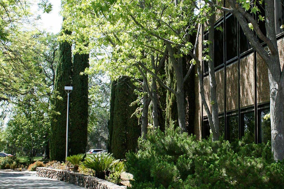 Sierra College gallery image0