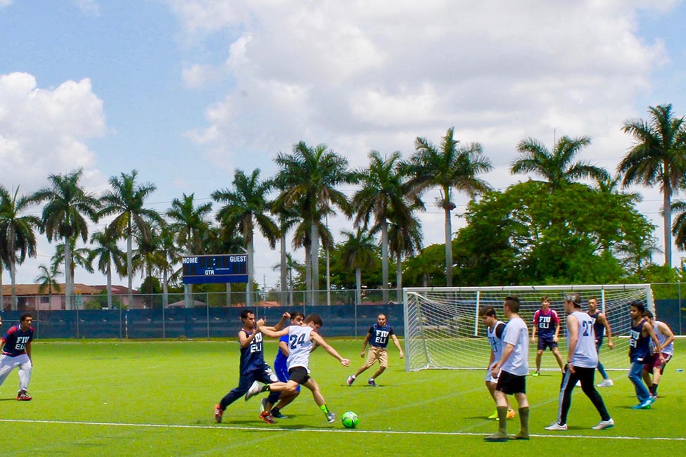 Florida International University ELI English Language Institute gallery image7