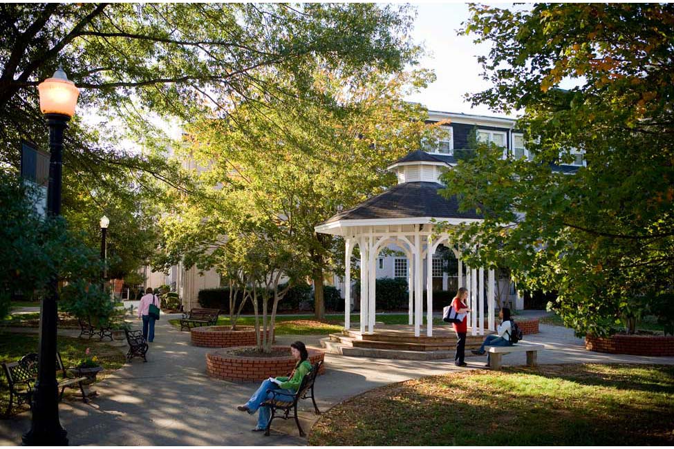 Study Georgia gallery image0