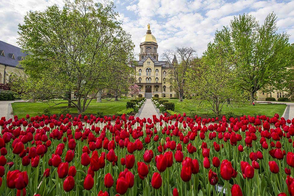 University of Notre Dame gallery image3
