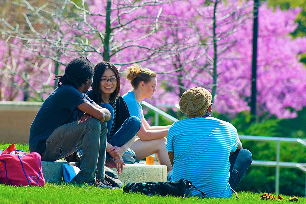 University of Southern Indiana - Intensive English Program (IEP)
gallery image6