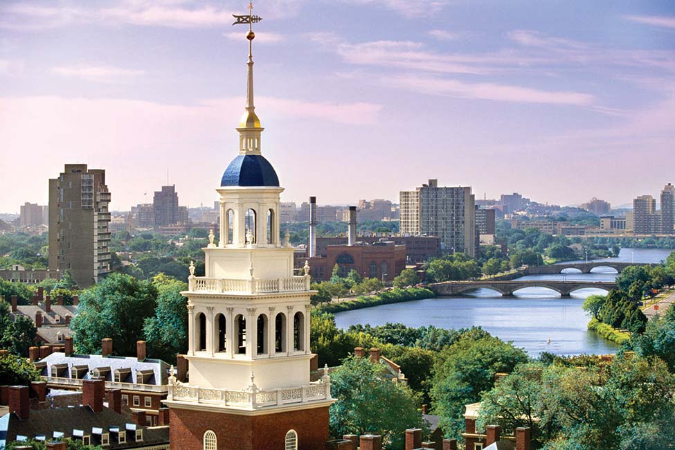 The New England School of English main image