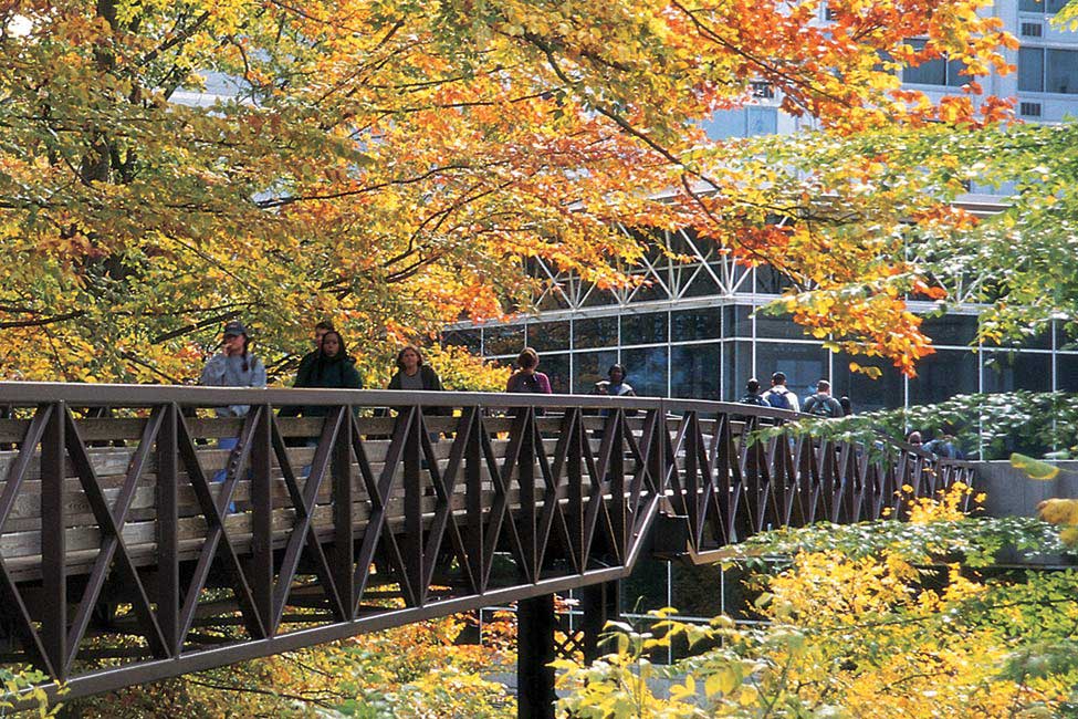 Towson University - English Language Center (ELC) main image