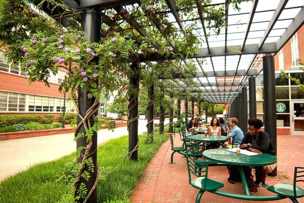 East Carolina University and Language Academy gallery image1