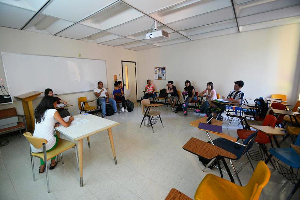A.C.E. Language Institutes (WA, MT, PA) gallery image1