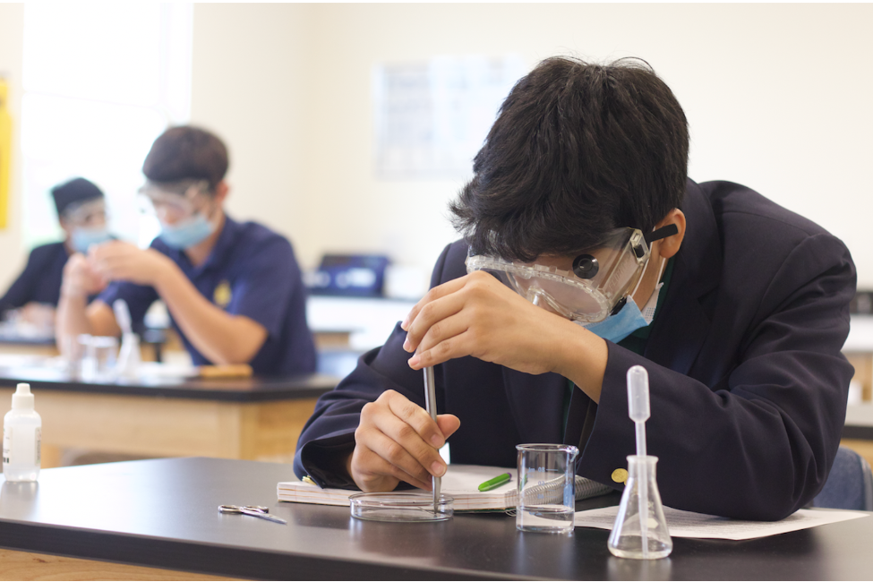 Fairfax Christian School gallery image7