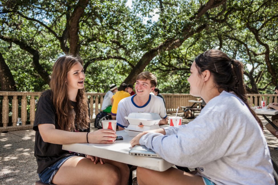 Louisiana State University – Global Pathway
gallery image6