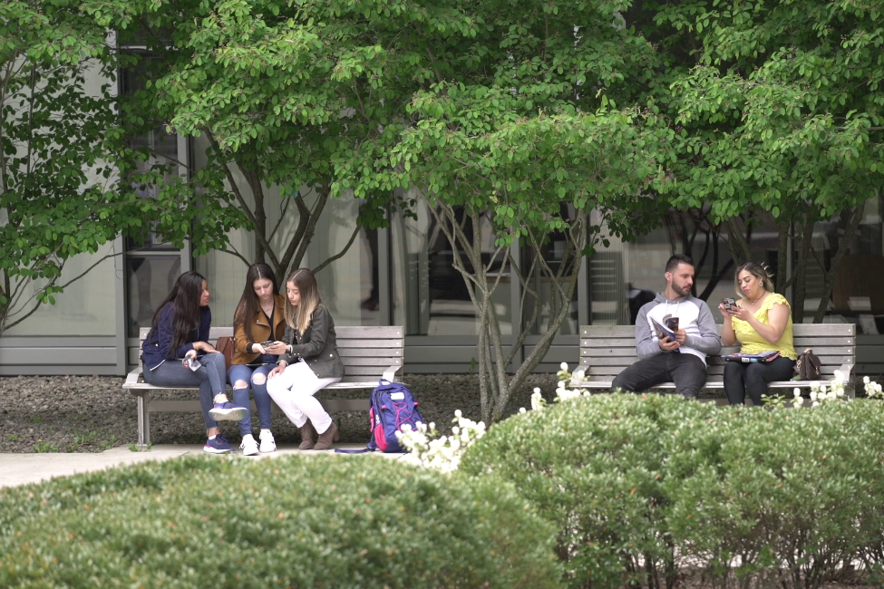 Salem State University Intensive English Language Program gallery image8