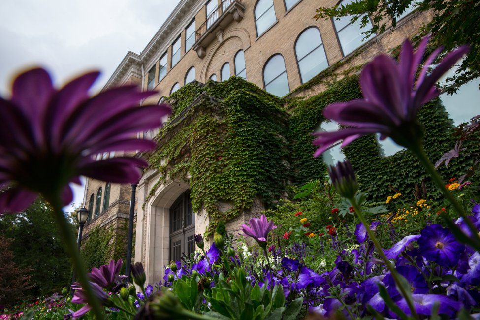 University of Wisconsin, Whitewater main image