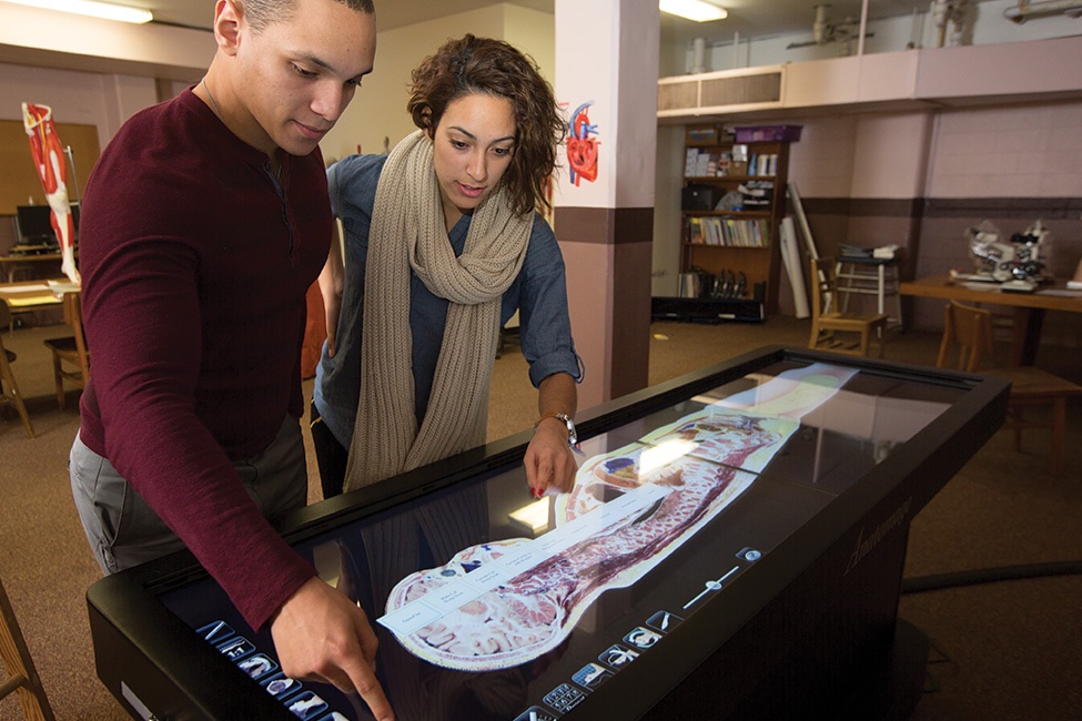 University of Massachusetts Amherst – International Program
gallery image2