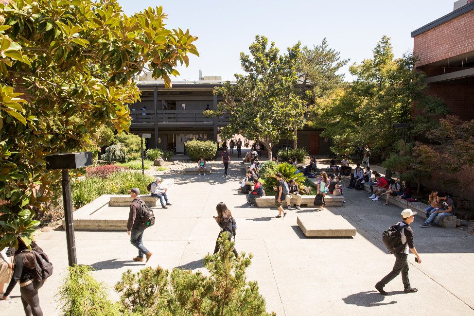 Colleges of Contra Costa gallery image4