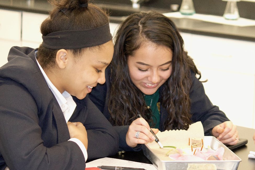 Fairfax Christian School gallery image0