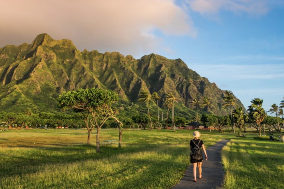 Study Hawaii gallery image1