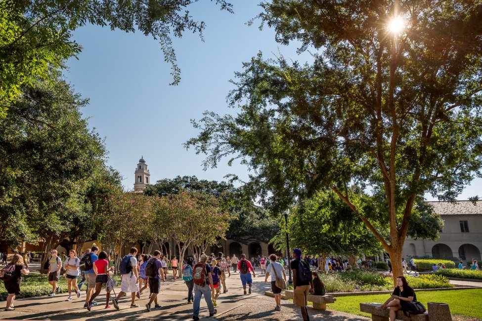 Louisiana State University – Global Pathway
gallery image3