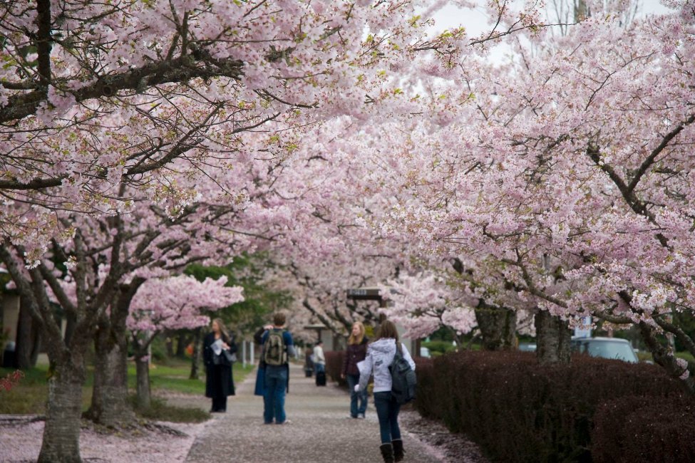 Mt. Hood Community College gallery image4