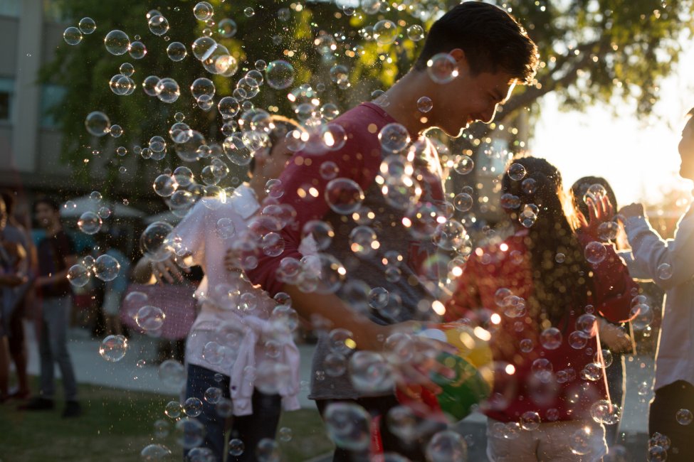 Stanford Summer Session gallery image5