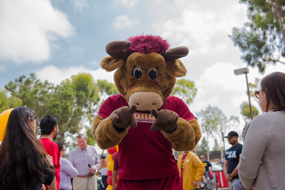California State University at Dominguez Hills gallery image5