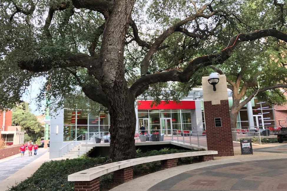 University of the incarnate word university of the incarnate word