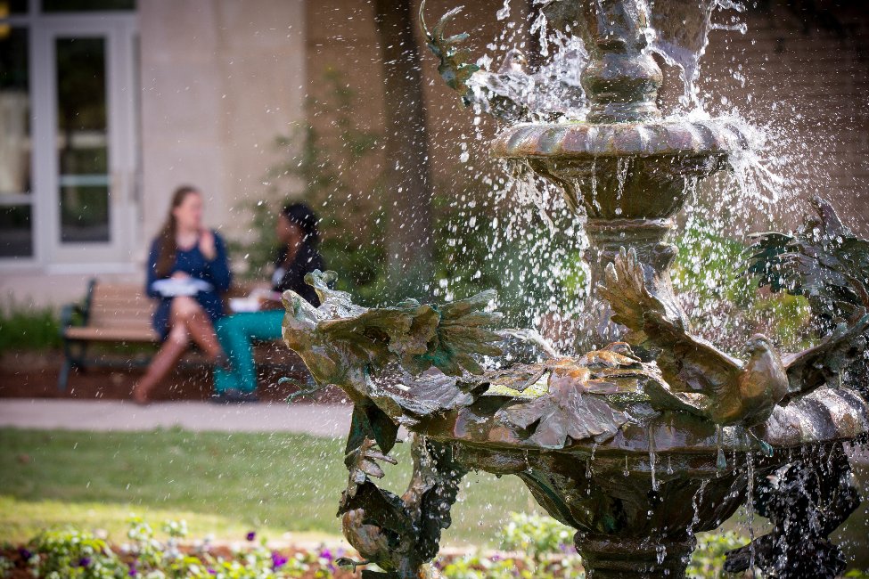 University of South Carolina gallery image3