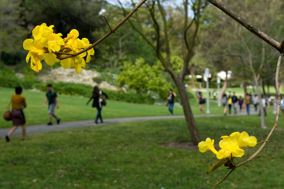University of California, Irvine Division of Continuing Education gallery image6