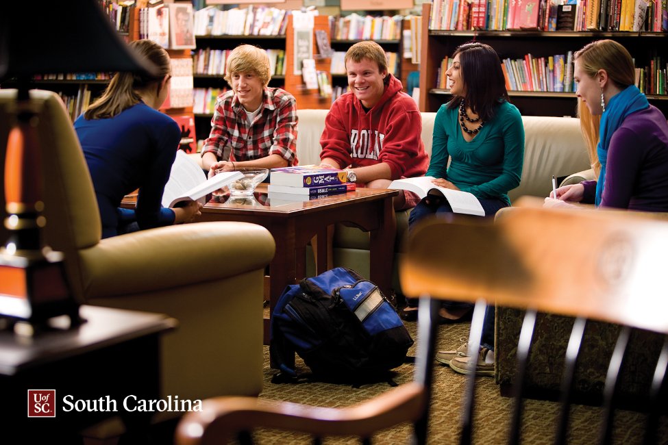 University of South Carolina Master of International Business main image