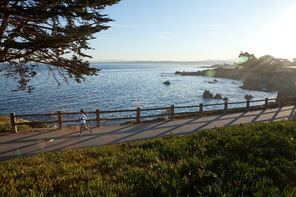 Middlebury Institute of International Studies at Monterey Intensive English Programs gallery image3